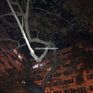 Презентабельно