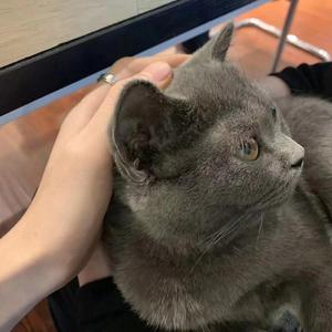 我在等【片段版】（翻自 林宝馨）