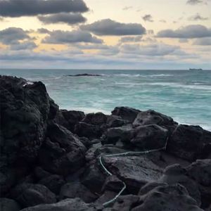 追寻着失散的蓝天