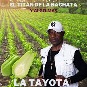 La Tayota