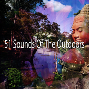 Soaring High With Hope