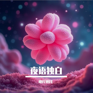 夜语独白