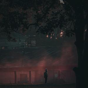 【FREE】流浪的人