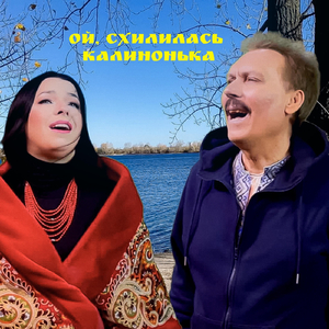 Ой схилилась калинонька