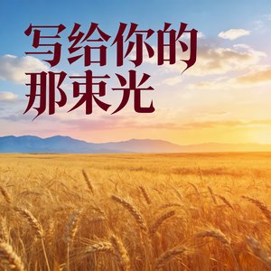 写给你的那束光