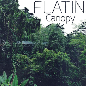 Canopy