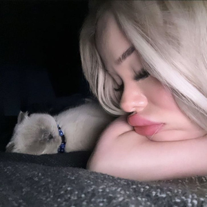 Yansıma Hızlandırılmış