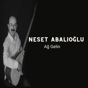 Ağ Gelin