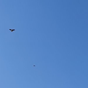 我不是你的先生宋冬野