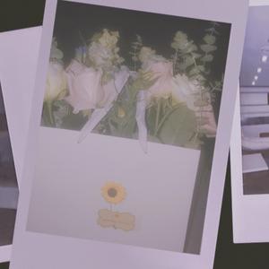 渐冷（吉他伴奏