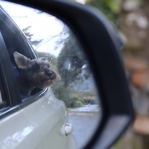 Aprendí a vivir sin ti