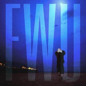 FWU (Extended Version)