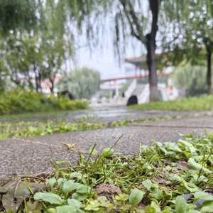 生活虽苦仍要向前