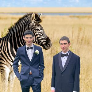 The best song i have ever made