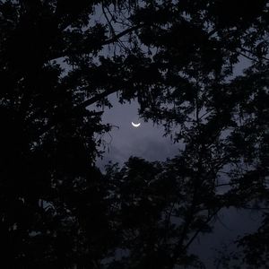 浪漫主义小红歌（翻自 姜云升）