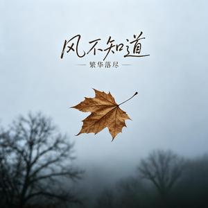 风不知道