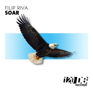 Soar (B.vivant Remix)
