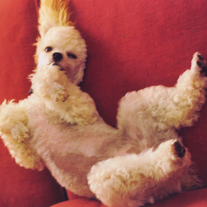 Poèmes: Poulenc (Deux Poèmes)