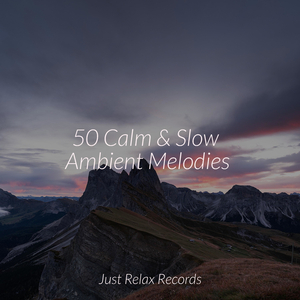 Reflections in Glassy Waters