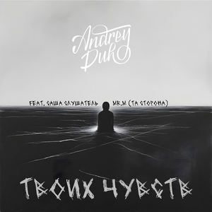 Твоих чувств