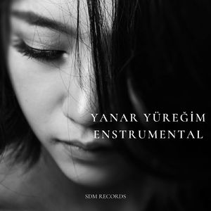 Duygusal Fon (Remix)