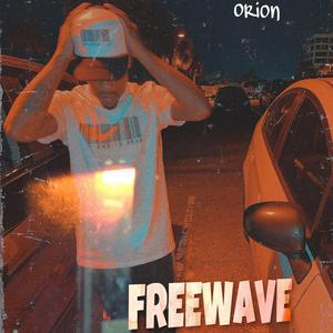 FREEWAVE