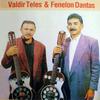 Valdir Teles - Martelo a Desafio