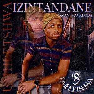 IZINTANDANE ZAMANYE AMADODA