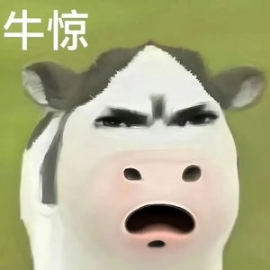 每一滴雨水都是你的来信