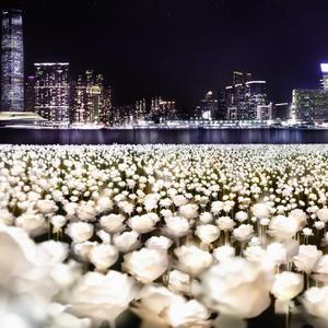 喜欢你没道理（cover张韶涵）