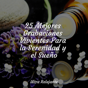 Siempre Consciente