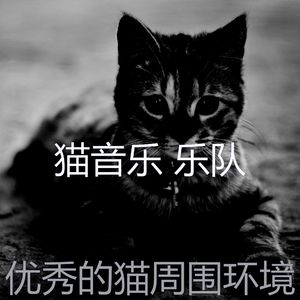 温和小猫梦想