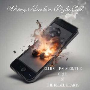 Wrong Number, Right Call