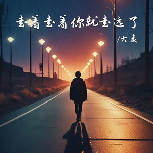 走着走着你就走远了 (DJ墨涵版)