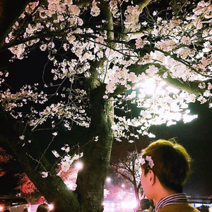 그 봄의 시작에서부터