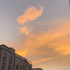 琶音缀梦星