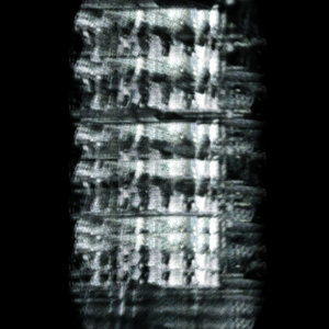 CAVEA AURUM