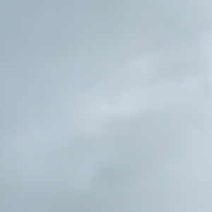 扬州慢（并序）