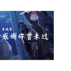 Ayo97-感谢你曾来过（李晓贵 remix）