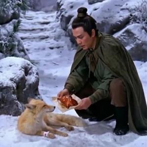 「你是否在雪山救過一隻狐狸？」