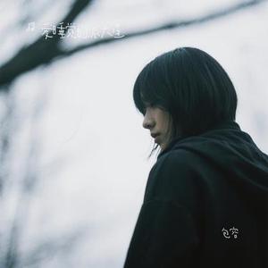 包容 (Cover 郑源)