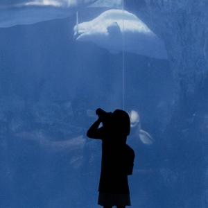 网红西施(Original Mix)