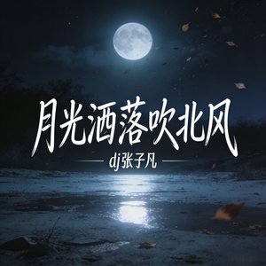 月光洒落吹北风