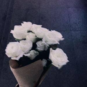 My Heart Will Go On（我心永恒）泰坦尼克号主题曲