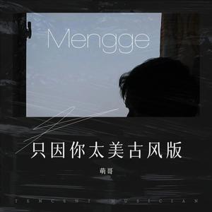 只因你太美 古风版