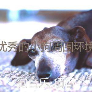 温和训练犬梦想
