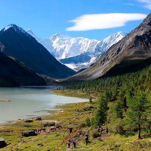 Домбырасыз сән қайда