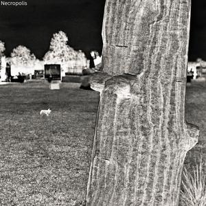 Necropolis
