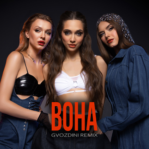 Вона (Gvozdini Remix)