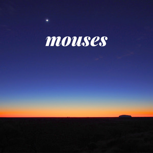 Mouses